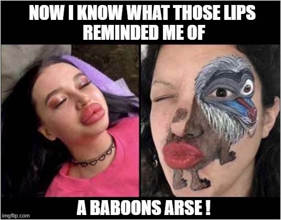 Once Seen ... Cannot Be Unseen ! | NOW I KNOW WHAT THOSE LIPS
 REMINDED ME OF; A BABOONS ARSE ! | image tagged in can't unsee,botox,baboon,arse,ass,dark humour | made w/ Imgflip meme maker