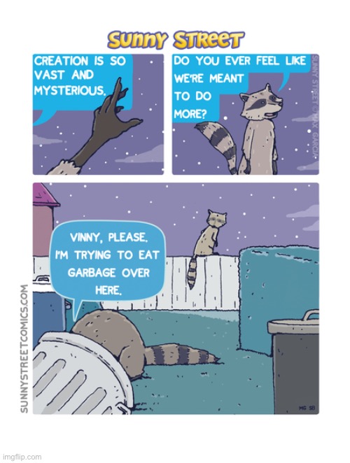 image tagged in comics,sunny street,raccoons | made w/ Imgflip meme maker