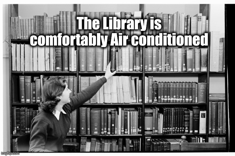 librarian | The Library is comfortably Air conditioned | image tagged in librarian | made w/ Imgflip meme maker