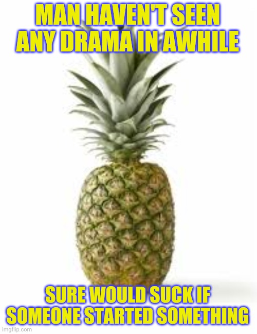 Sethamphetamine announcement temp | MAN HAVEN'T SEEN ANY DRAMA IN AWHILE; SURE WOULD SUCK IF SOMEONE STARTED SOMETHING | image tagged in sethamphetamine announcement temp | made w/ Imgflip meme maker