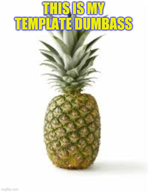 Sethamphetamine announcement temp | THIS IS MY TEMPLATE DUMBASS | image tagged in sethamphetamine announcement temp | made w/ Imgflip meme maker
