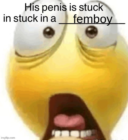 HIS PENIS IS STUCK IN A | femboy | image tagged in his penis is stuck in a | made w/ Imgflip meme maker
