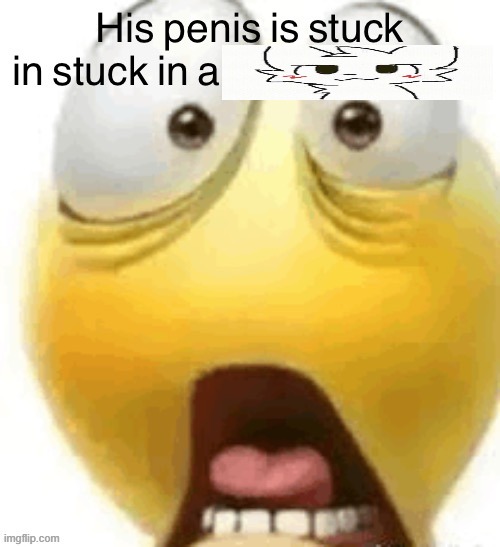 HIS PENIS IS STUCK IN A | image tagged in his penis is stuck in a | made w/ Imgflip meme maker