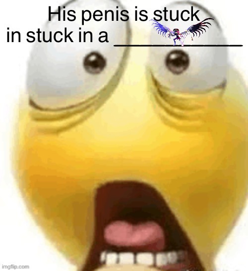 HIS PENIS IS STUCK IN A | image tagged in his penis is stuck in a | made w/ Imgflip meme maker