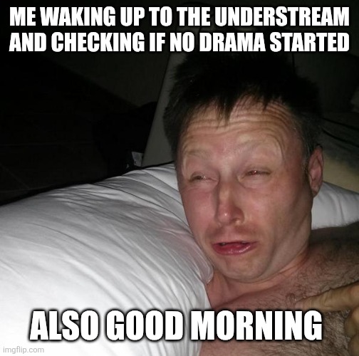 ( sorry mods forgot to put undertale thing) please don't be drama in the stream... Please no drama please no drama | ME WAKING UP TO THE UNDERSTREAM AND CHECKING IF NO DRAMA STARTED; ALSO GOOD MORNING | image tagged in limmy waking up | made w/ Imgflip meme maker