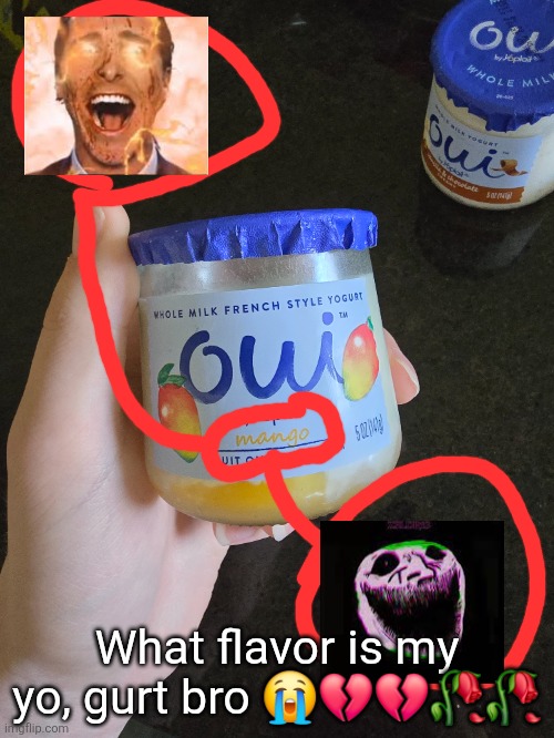 yo | What flavor is my yo, gurt bro 😭💔💔🥀🥀 | made w/ Imgflip meme maker