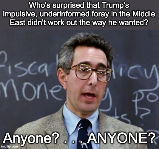 As if policy briefs that were more words than pictures might be important . . .! | Who's surprised that Trump's impulsive, underinformed foray in the Middle East didn't work out the way he wanted? Anyone? . . . ANYONE? | image tagged in bueller bueller,war,trump,iran,israel,disappointment | made w/ Imgflip meme maker
