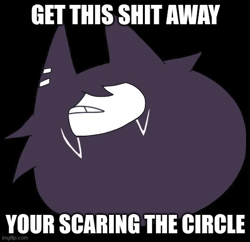 miss circle | GET THIS SHIT AWAY YOUR SCARING THE CIRCLE | image tagged in miss circle | made w/ Imgflip meme maker