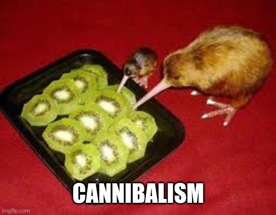 Kiwi bird eating kiwi... | CANNIBALISM | image tagged in kiwi eating kiwi,cannibalism,funny,memes,funny memes,bird | made w/ Imgflip meme maker