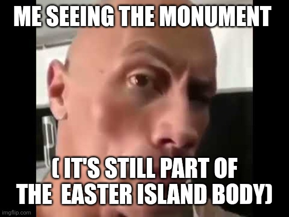 Rock Stare | ME SEEING THE MONUMENT ( IT'S STILL PART OF THE  EASTER ISLAND BODY) | image tagged in rock stare | made w/ Imgflip meme maker