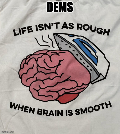 DEMS | made w/ Imgflip meme maker