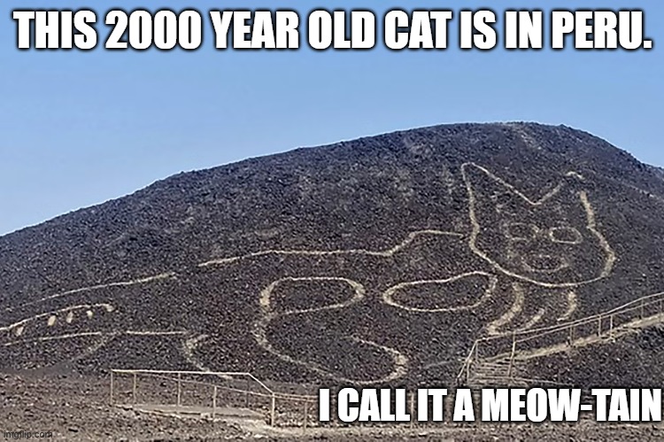 This 2000 year old cat is in Peru !! | THIS 2000 YEAR OLD CAT IS IN PERU. I CALL IT A MEOW-TAIN | image tagged in cats,fun,kitten,ancient,mountain | made w/ Imgflip meme maker