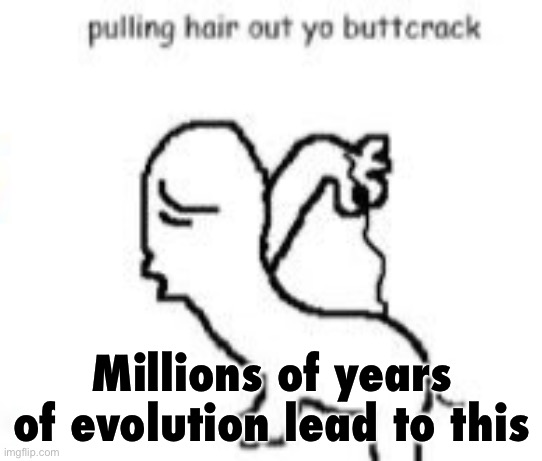 Humanity is cooked | Millions of years of evolution lead to this | image tagged in pulling hair out yo buttcrack | made w/ Imgflip meme maker