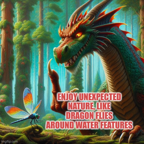 Enjoy unexpected nature, like dragon flies around water features | ENJOY UNEXPECTED NATURE, LIKE DRAGON FLIES AROUND WATER FEATURES | image tagged in nature,relax,insects,dragon flies | made w/ Imgflip meme maker