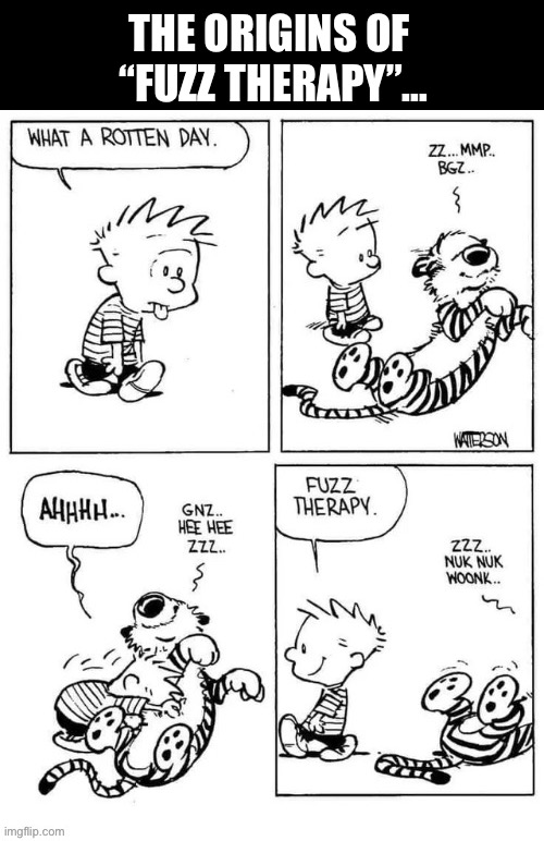 THE ORIGINS OF 
“FUZZ THERAPY”… | image tagged in calvin and hobbes,comics,fuzz therapy | made w/ Imgflip meme maker