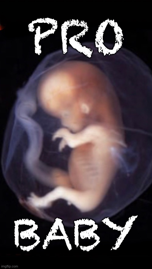 LIFE is the First RIGHT | PRO; BABY | image tagged in memes,baby babies,live long n prosper,you have no right to kill that baby,murder for convenience | made w/ Imgflip meme maker