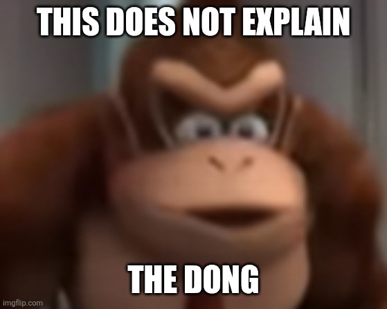 kinkey dong | THIS DOES NOT EXPLAIN THE DONG | image tagged in kinkey dong | made w/ Imgflip meme maker