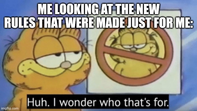 (epsi note: 10000000000% real.) | ME LOOKING AT THE NEW RULES THAT WERE MADE JUST FOR ME: | image tagged in garfield wonders | made w/ Imgflip meme maker