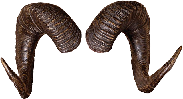 Goat horns Blank Meme Template