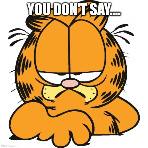 Garfield | YOU DON'T SAY.... | image tagged in garfield | made w/ Imgflip meme maker
