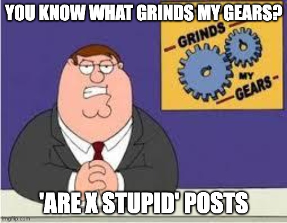 The ones on Reddit, especially | YOU KNOW WHAT GRINDS MY GEARS? 'ARE X STUPID' POSTS | image tagged in you know what really grinds my gears | made w/ Imgflip meme maker
