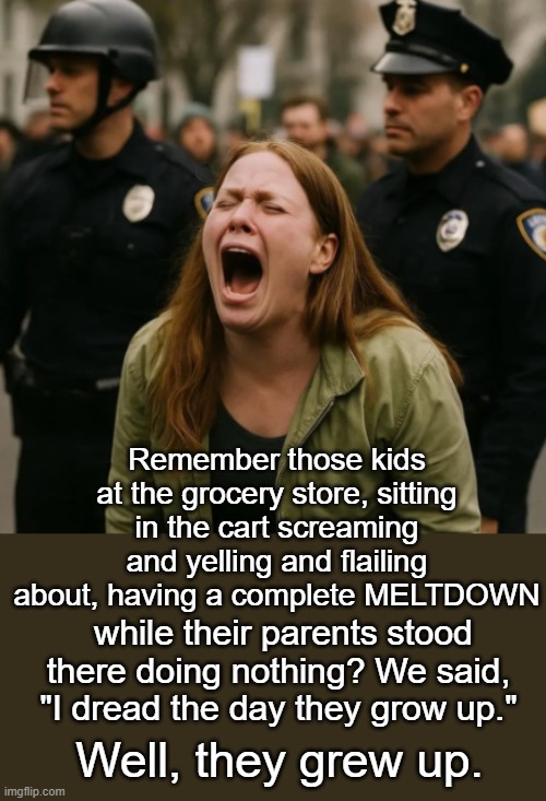 The effects of a zero discipline home | Remember those kids at the grocery store, sitting in the cart screaming and yelling and flailing about, having a complete MELTDOWN; while their parents stood there doing nothing? We said, "I dread the day they grow up."; Well, they grew up. | image tagged in memes,boomers raised these imbeciles | made w/ Imgflip meme maker