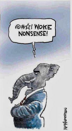 Woke Nonsense Blank Meme Template