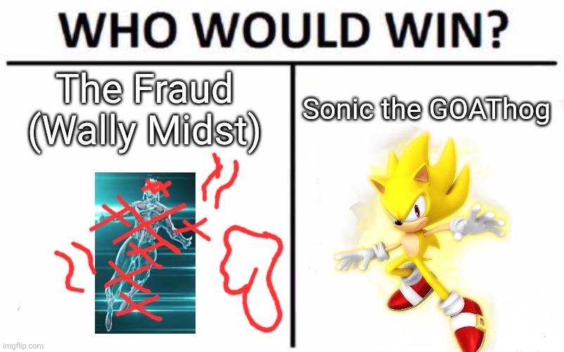gonna explode my balls by freezing them and using a hammer | The Fraud (Wally Midst); Sonic the GOAThog | image tagged in memes,who would win | made w/ Imgflip meme maker