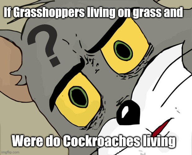 defently a fun fact | If Grasshoppers living on grass and; Were do Cockroaches living | image tagged in memes,unsettled tom | made w/ Imgflip meme maker