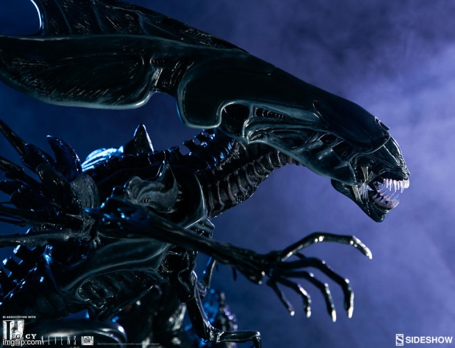 Alien Xenomorph | image tagged in alien xenomorph | made w/ Imgflip meme maker