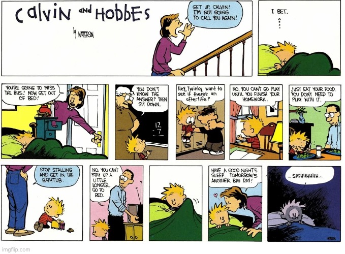 “A day in the life”… | image tagged in calvin and hobbes,comics,tough day | made w/ Imgflip meme maker