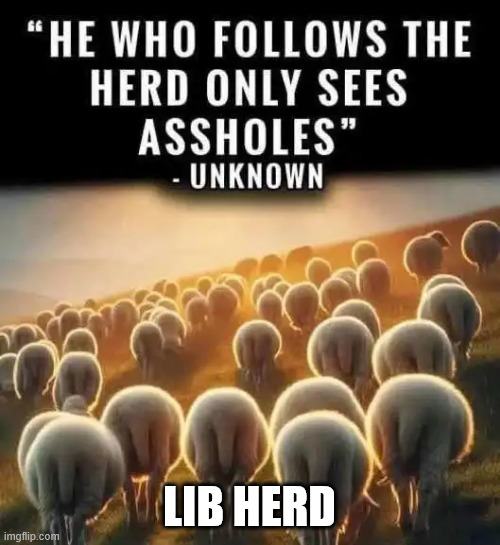 LIB HERD | made w/ Imgflip meme maker