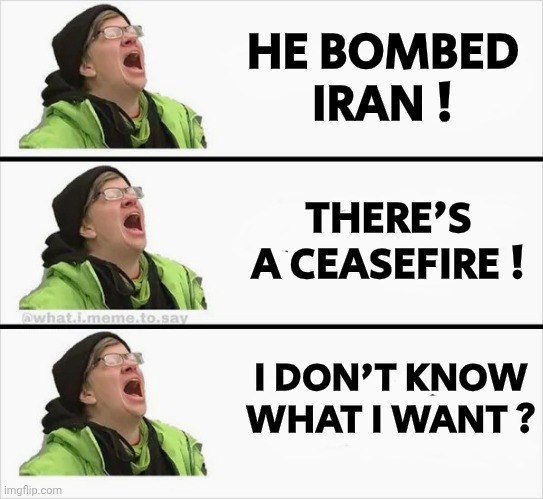 Whining Liberal | HE BOMBED IRAN ! THERE'S A CEASEFIRE ! I DON'T KNOW WHAT I WANT ? | image tagged in whining liberal | made w/ Imgflip meme maker