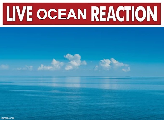 Live reaction | OCEAN | image tagged in live reaction | made w/ Imgflip meme maker