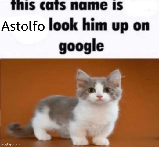 this cats name is x look him up on google | Astolfo | image tagged in this cats name is x look him up on google | made w/ Imgflip meme maker
