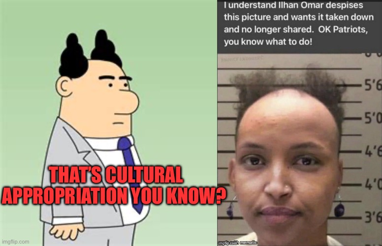 Cultural appropriation | THAT’S CULTURAL APPROPRIATION YOU KNOW? | image tagged in ilhan omar,woke,democrats,joke,funny,illegal aliens | made w/ Imgflip meme maker
