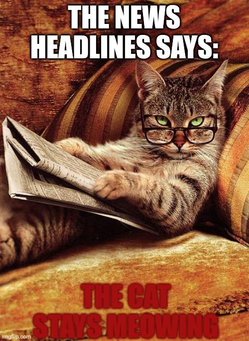 Cat | THE NEWS HEADLINES SAYS:; THE CAT STAYS MEOWING | image tagged in cat reading | made w/ Imgflip meme maker