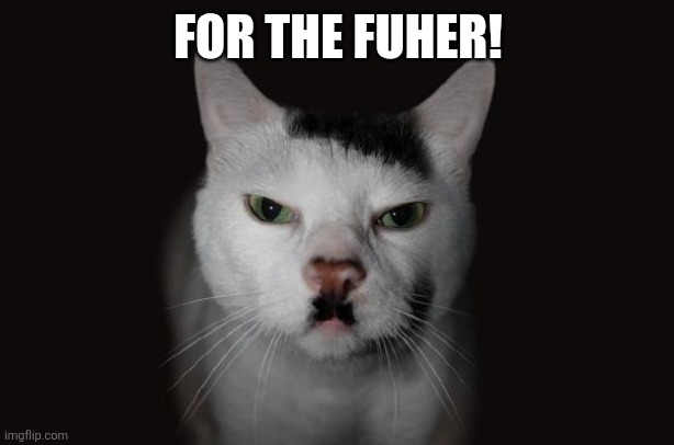 Kitler | FOR THE FUHER! | image tagged in kitler | made w/ Imgflip meme maker