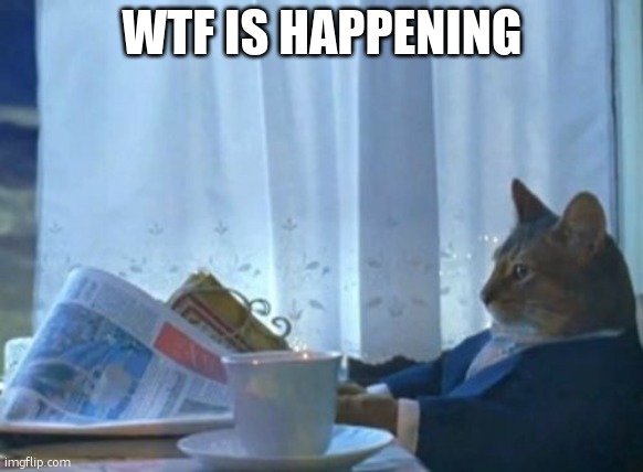 I Should Buy A Boat Cat | WTF IS HAPPENING | image tagged in memes,i should buy a boat cat | made w/ Imgflip meme maker