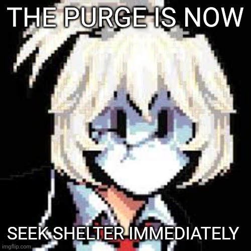 QKRegin my beloved <3 | THE PURGE IS NOW; SEEK SHELTER IMMEDIATELY | image tagged in qkregin my beloved 3 | made w/ Imgflip meme maker