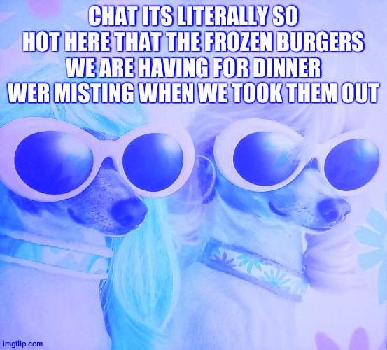 Groovy dawgs | CHAT ITS LITERALLY SO HOT HERE THAT THE FROZEN BURGERS WE ARE HAVING FOR DINNER WER MISTING WHEN WE TOOK THEM OUT | image tagged in groovy dawgs | made w/ Imgflip meme maker
