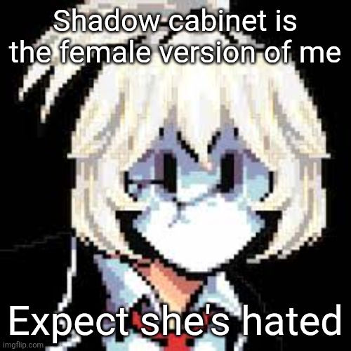QKRegin my beloved <3 | Shadow cabinet is the female version of me; Expect she's hated | image tagged in qkregin my beloved 3 | made w/ Imgflip meme maker