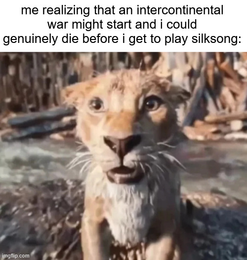 GUH | me realizing that an intercontinental war might start and i could genuinely die before i get to play silksong: | image tagged in guh | made w/ Imgflip meme maker