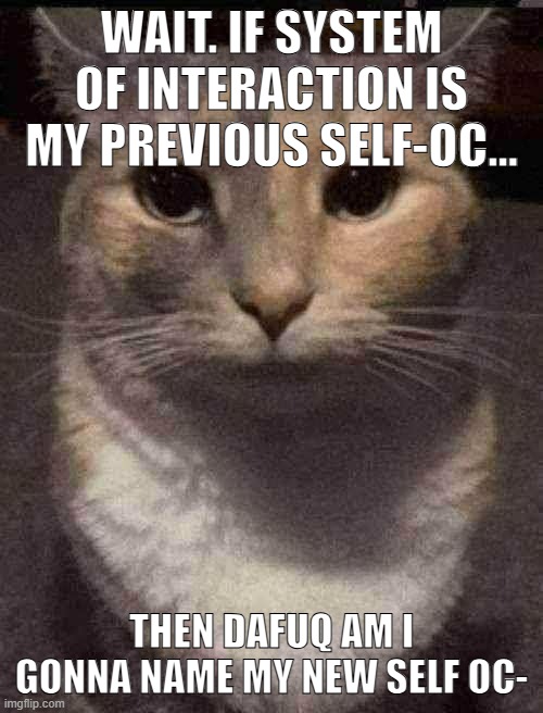 cat dead stare | WAIT. IF SYSTEM OF INTERACTION IS MY PREVIOUS SELF-OC... THEN DAFUQ AM I GONNA NAME MY NEW SELF OC- | image tagged in cat dead stare,sans of topic | made w/ Imgflip meme maker