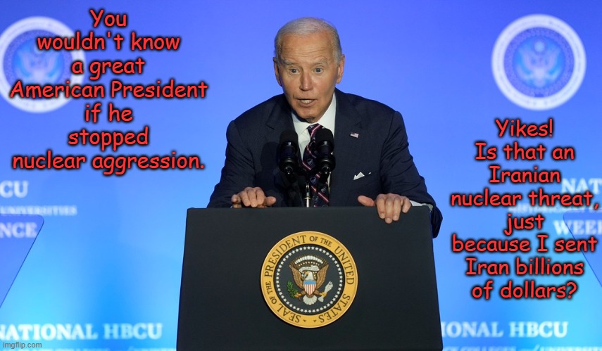 Biden just ordered a Nobel Peace Prize for himself from TEMU to keep up with Trump | Yikes! Is that an Iranian nuclear threat, just because I sent Iran billions of dollars? You wouldn't know a great American President if he stopped nuclear aggression. | image tagged in biden ducks | made w/ Imgflip meme maker