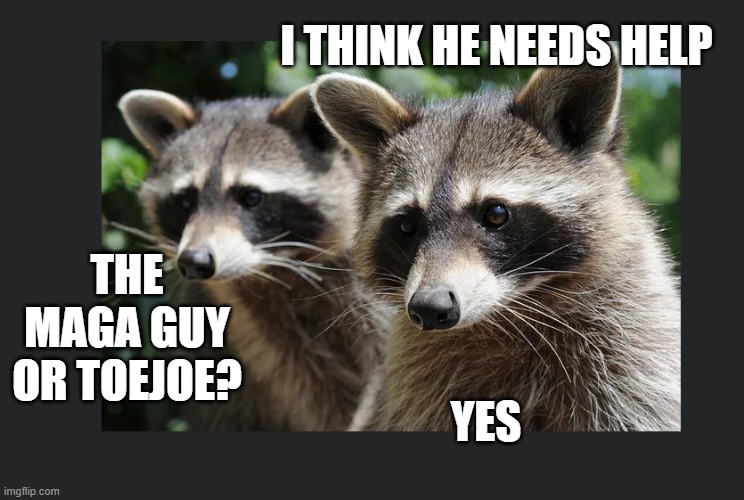 I THINK HE NEEDS HELP YES THE MAGA GUY OR TOEJOE? | made w/ Imgflip meme maker