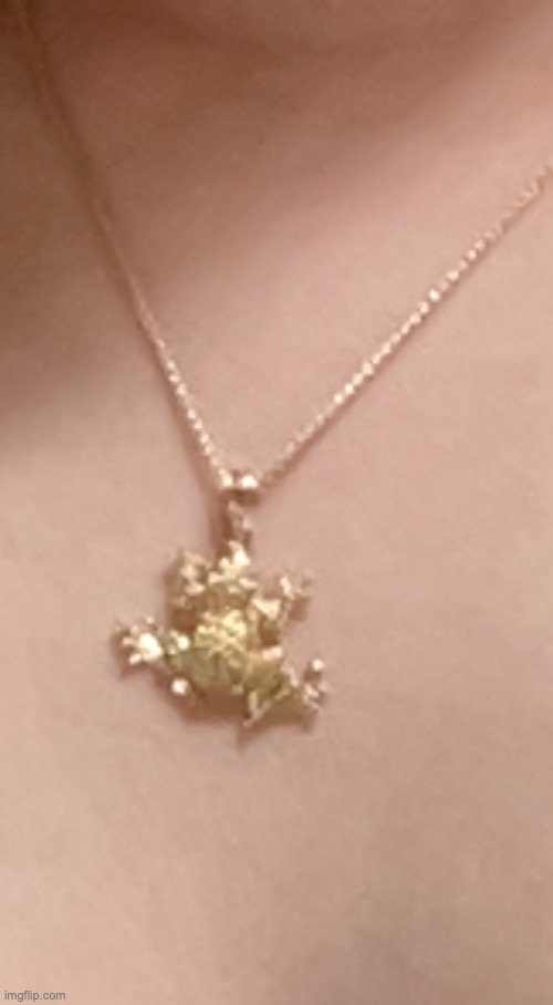 My frog necklace! My mom got it for me and it's real gold | made w/ Imgflip meme maker