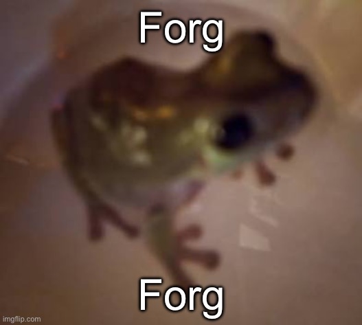 Forg | Forg; Forg | image tagged in forg | made w/ Imgflip meme maker