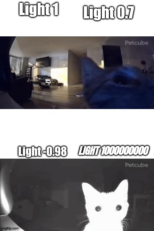 Light. | Light 0.7; Light 1; LIGHT 1000000000; Light -0.98 | image tagged in cat gets flashbanged | made w/ Imgflip meme maker