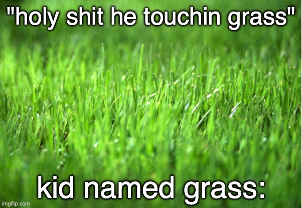 grass | "holy shit he touchin grass"; kid named grass: | image tagged in grass is greener,touch grass,thumbs up | made w/ Imgflip meme maker